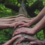 Hands together on a tree